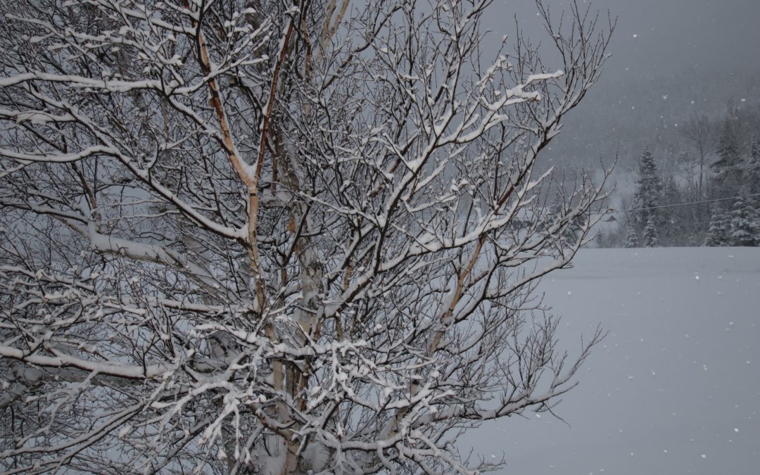 Tempête de neige au Québec